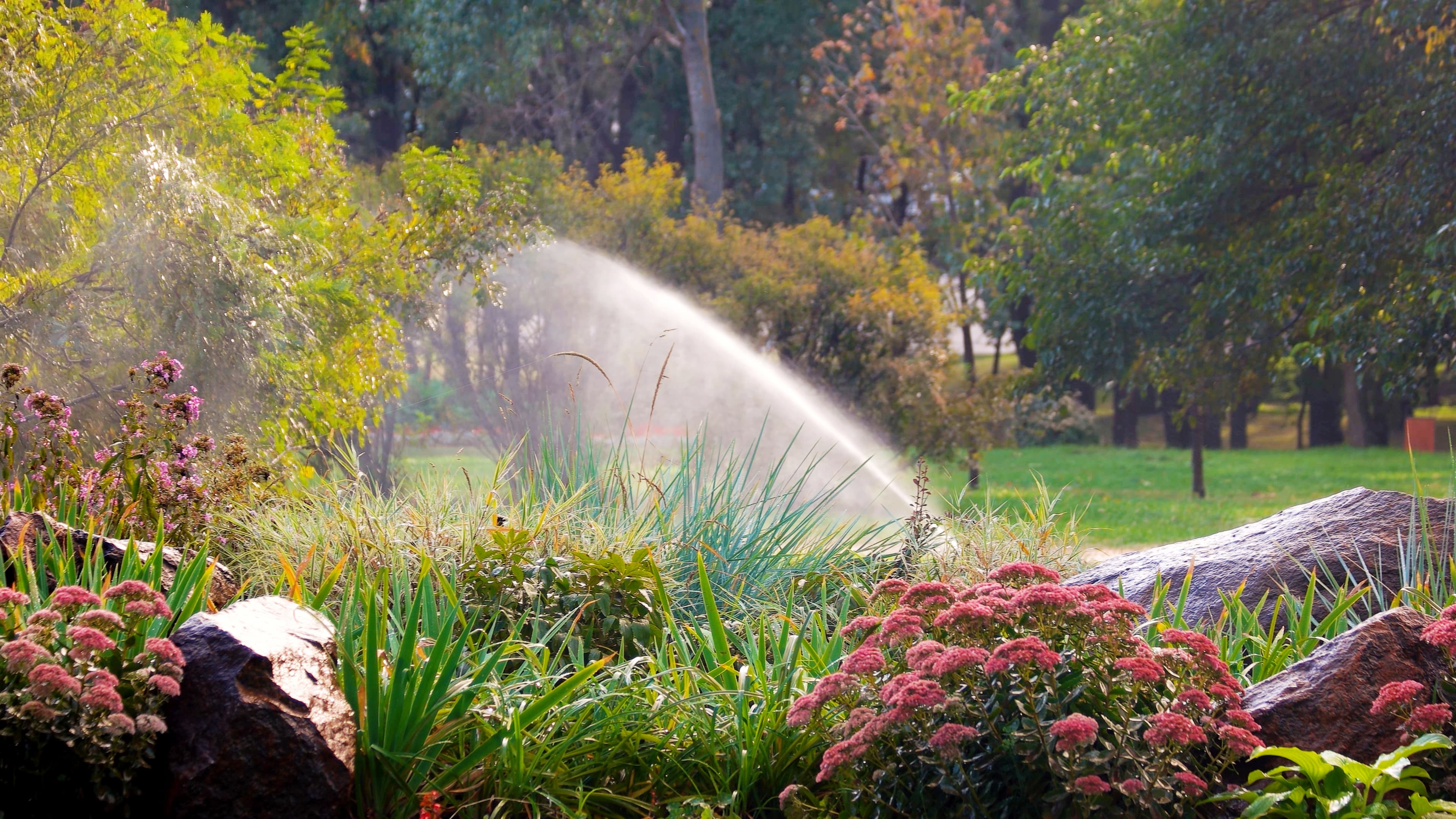 Sprinkler system watering a flower bed in a lush garden